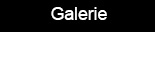 Menu Galerie